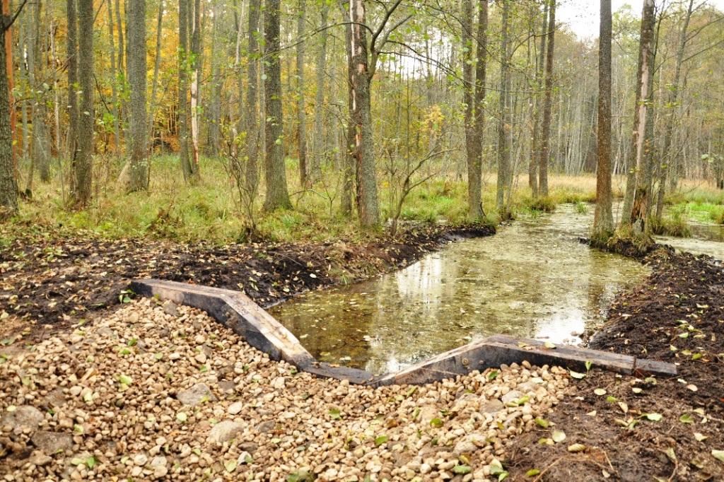 Retencja wody w poznańskich lasach. Rusza projekt