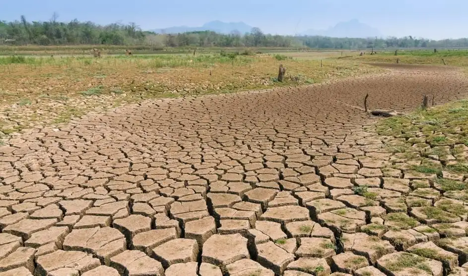 Polska w obliczu narastającej suszy. Niski stan wody w Warcie alarmuje naukowców