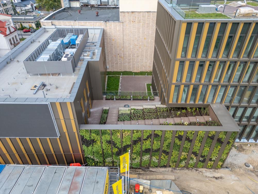 Dofinansowanie unijne na zazielenienie szkół